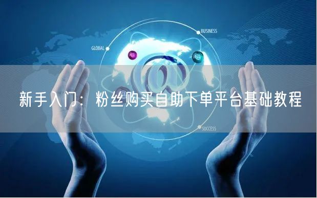 新手入门：粉丝购买自助下单平台基础教程