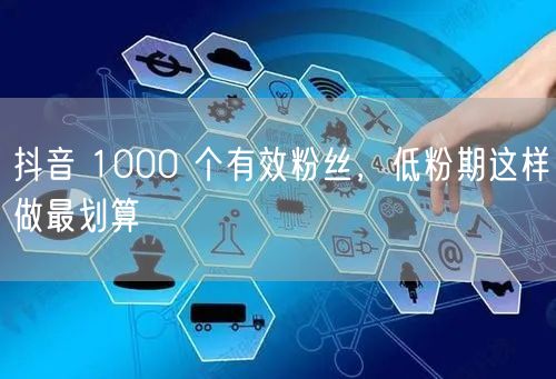 抖音 1000 个有效粉丝，低粉期这样做最划算