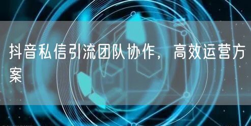 抖音私信引流团队协作，高效运营方案