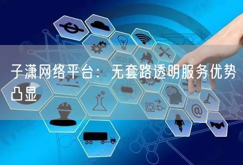 子潇网络平台：无套路透明服务优势凸显
