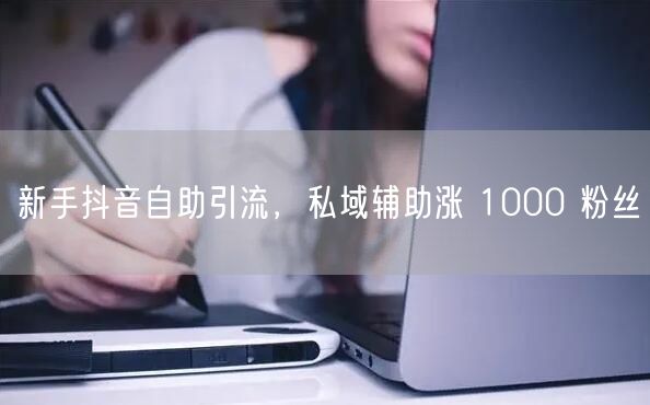新手抖音自助引流，私域辅助涨 1000 粉丝
