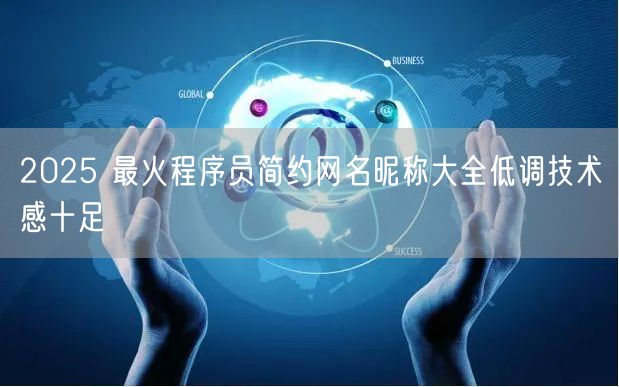 2025 最火程序员简约网名昵称大全低调技术感十足