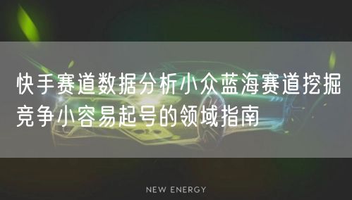 快手赛道数据分析小众蓝海赛道挖掘竞争小容易起号的领域指南