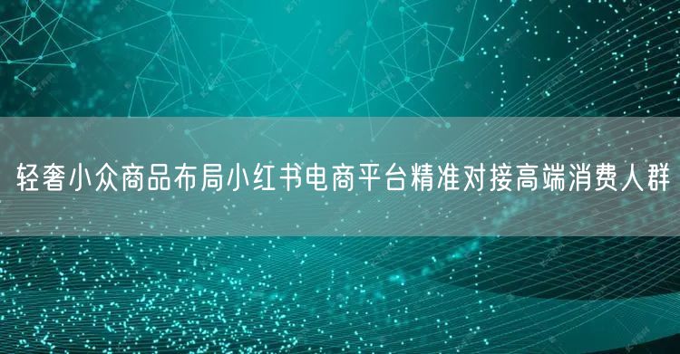 轻奢小众商品布局小红书电商平台精准对接高端消费人群
