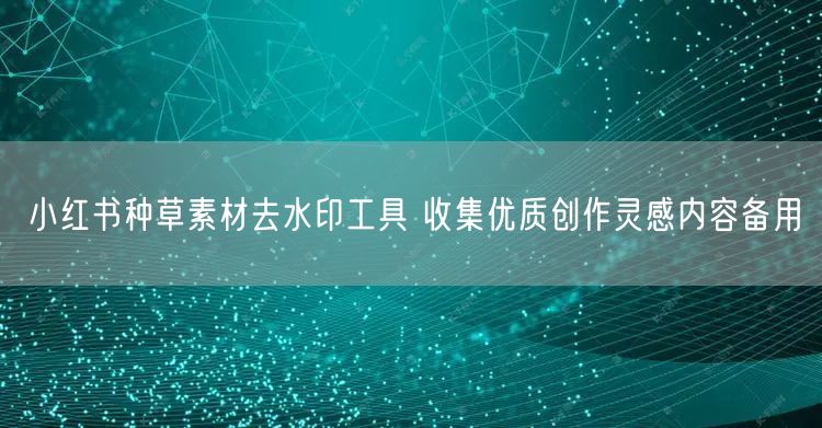 小红书种草素材去水印工具 收集优质创作灵感内容备用