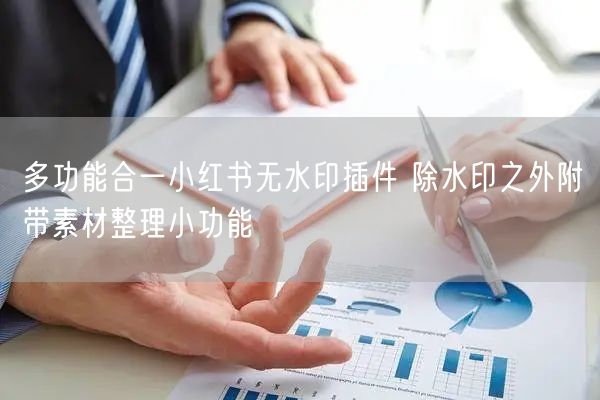 多功能合一小红书无水印插件 除水印之外附带素材整理小功能