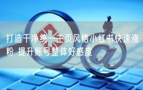 打造干净统一主页风格小红书快速涨粉 提升账号整体好感度