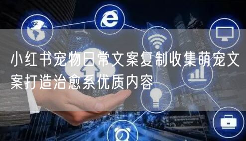 小红书宠物日常文案复制收集萌宠文案打造治愈系优质内容