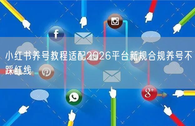 小红书养号教程适配2026平台新规合规养号不踩红线