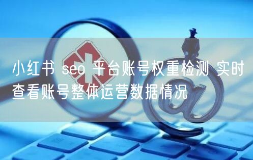 小红书 seo 平台账号权重检测 实时查看账号整体运营数据情