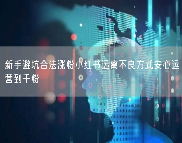 新手避坑合法涨粉小红书远离不良方式安心运营到千粉