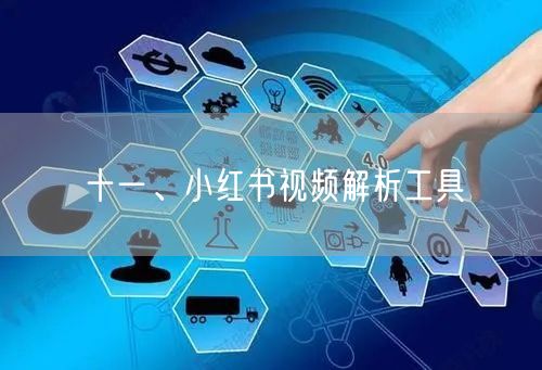 十一、小红书视频解析工具