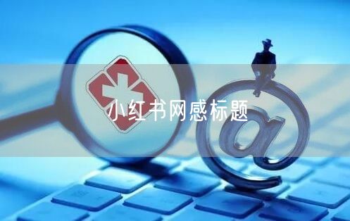 小红书网感标题