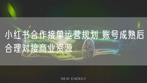 小红书合作接单运营规划 账号成熟后合理对接商业资源
