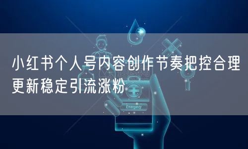 小红书个人号内容创作节奏把控合理更新稳定引流涨粉