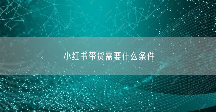 小红书带货需要什么条件