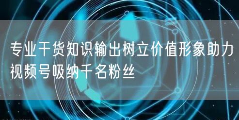 专业干货知识输出树立价值形象助力视频号吸纳千名粉丝