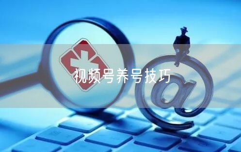 视频号养号技巧