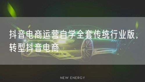 抖音电商运营自学全套传统行业版，转型抖音电商