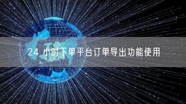 24 小时下单平台订单导出功能使用